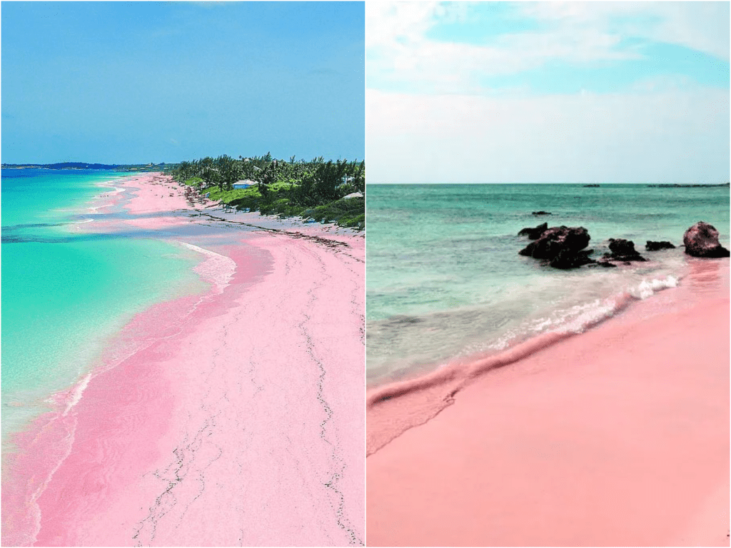 Secret Pink Sands